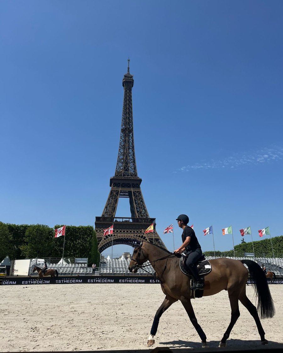 A rider in black on a bay horse walking across a sand arena, with the Eiffel Tower and a row of national flags behind them